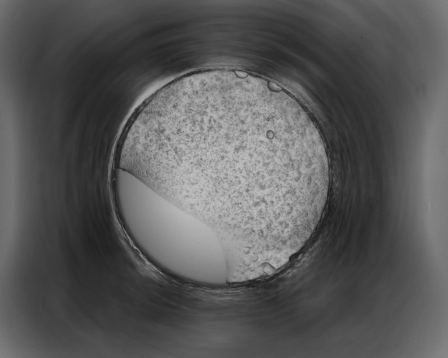 X0000086981044200705071413