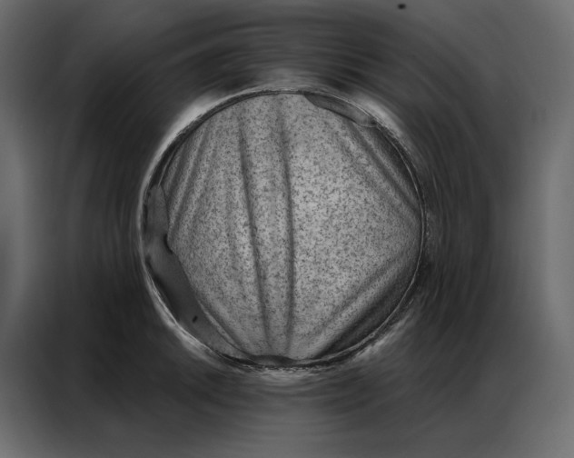 X0000086981046200705071413