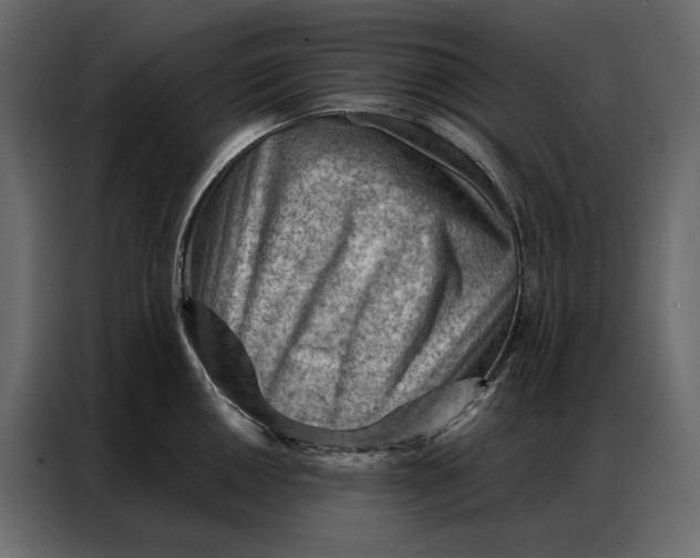 X0000086981050200705071413