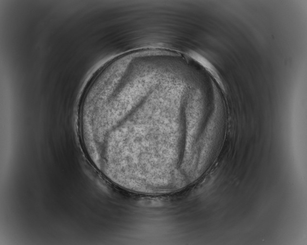 X0000086981051200705071413