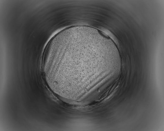 X0000086981052200705071413