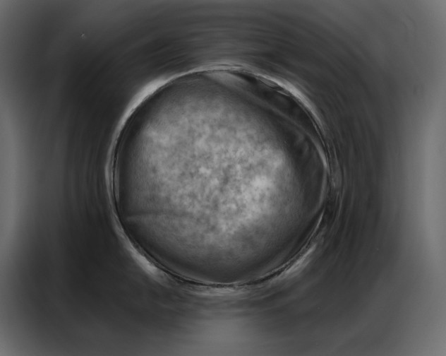 X0000086981054200705071413