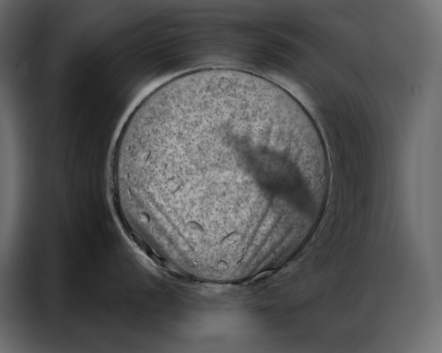 X0000086981056200705071413