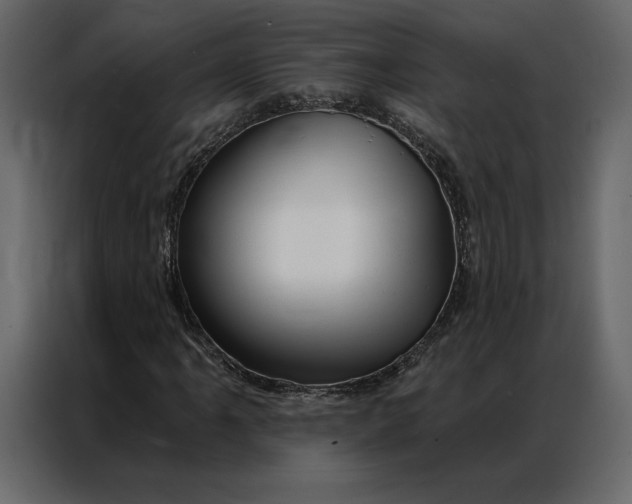 X0000086981061200705071412