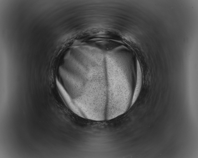 X0000086981062200705071412