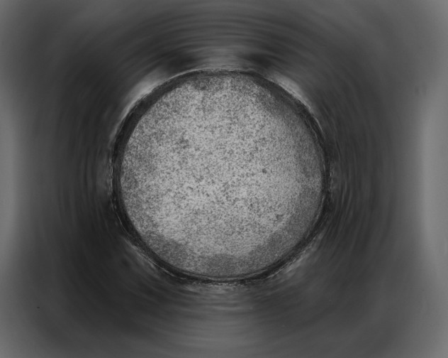 X0000086981067200705071412