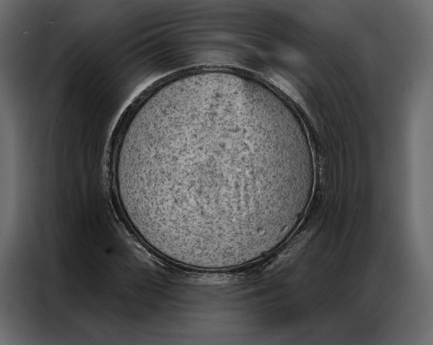 X0000086981068200705071412