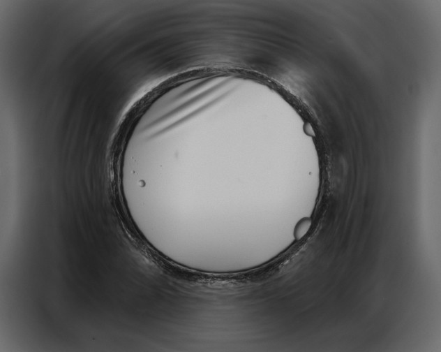 X0000086981070200705071412