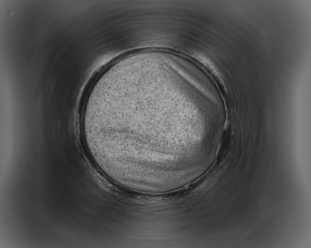 X0000086981072200705071412