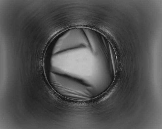 X0000086981073200705071412