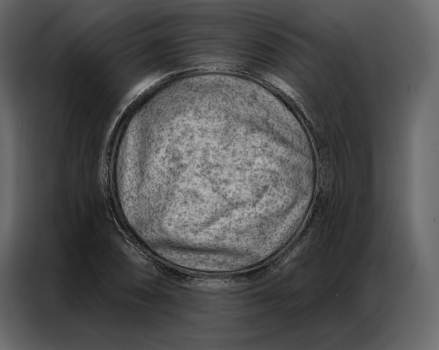 X0000086981074200705071412