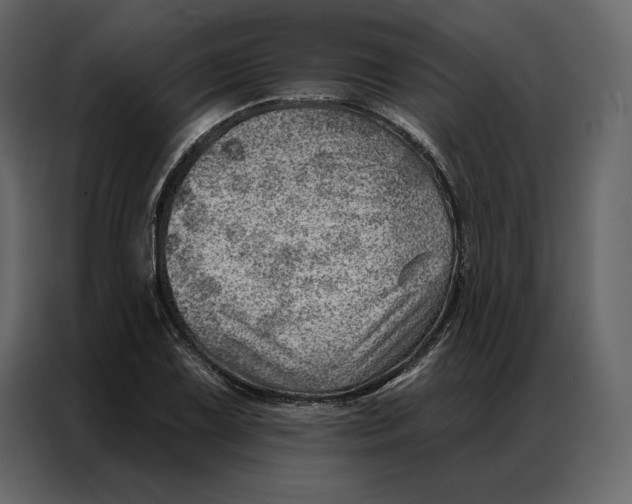 X0000086981075200705071412