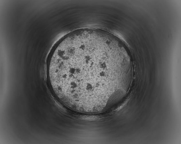 X0000086981079200705071412