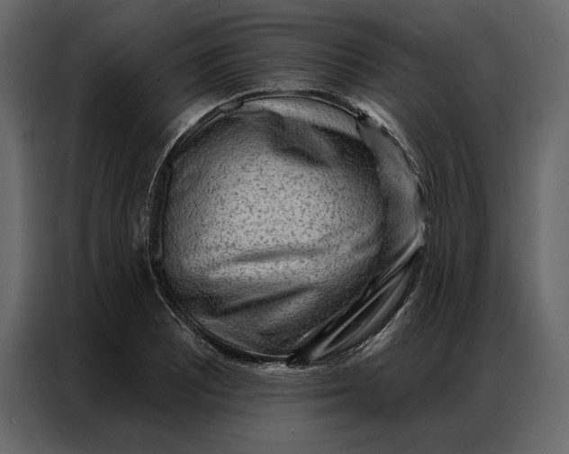 X0000086981081200705071412