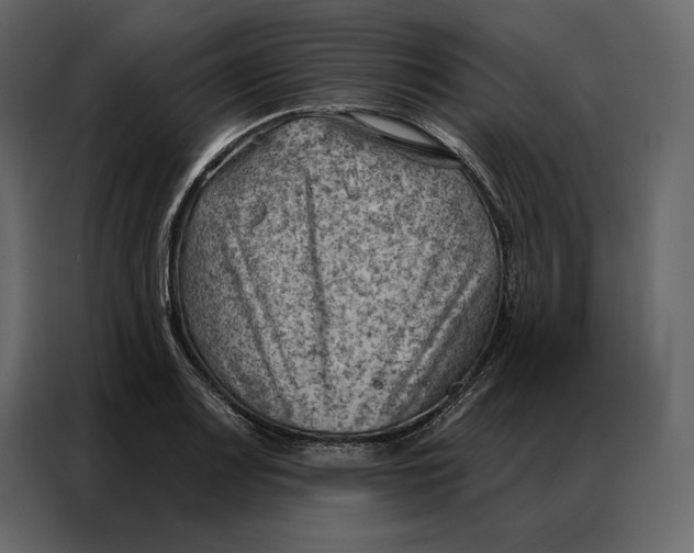 X0000086981083200705071412