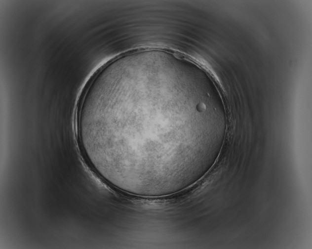 X0000086981084200705071412