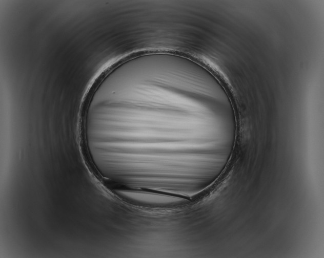 X0000086981085200705071412