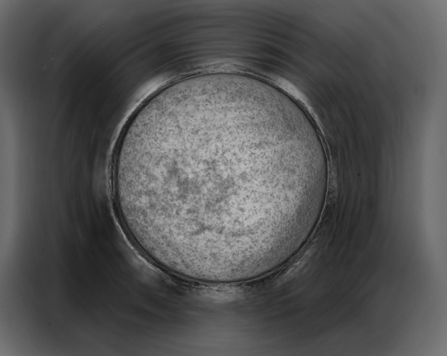 X0000086981090200705071412