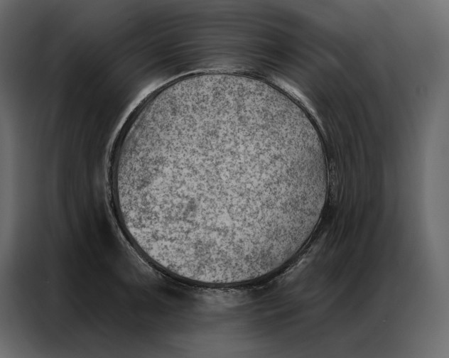 X0000086981091200705071412