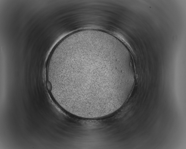 X0000086981092200705071412