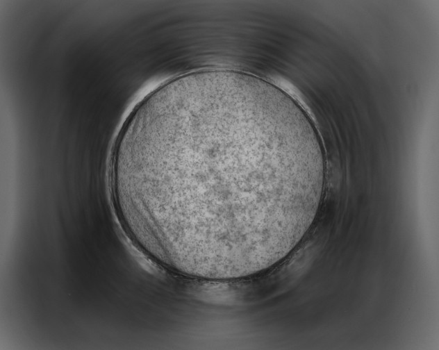 X0000086981098200705071412