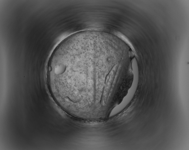 X0000086981099200705071412