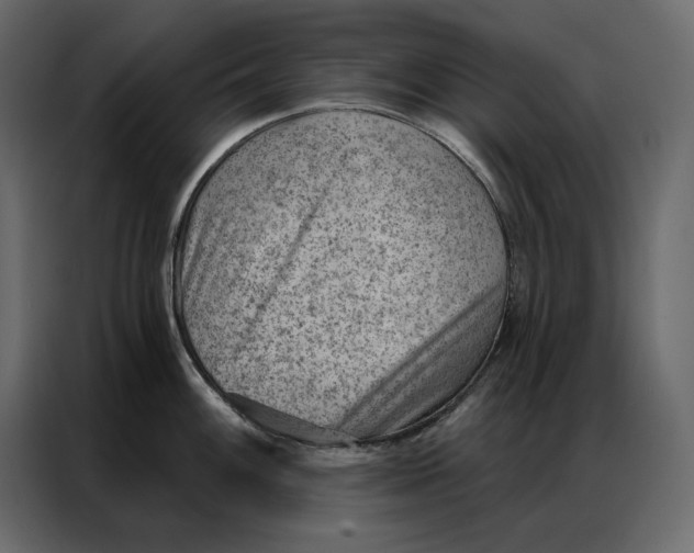 X0000086981100200705071412