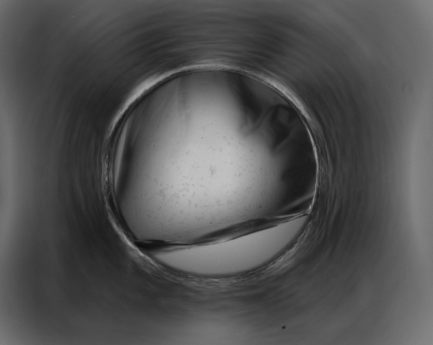 X0000086981101200705071412