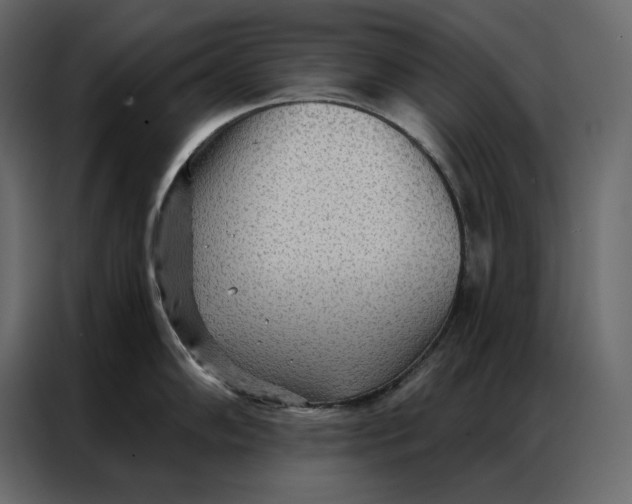 X0000086981102200705071412