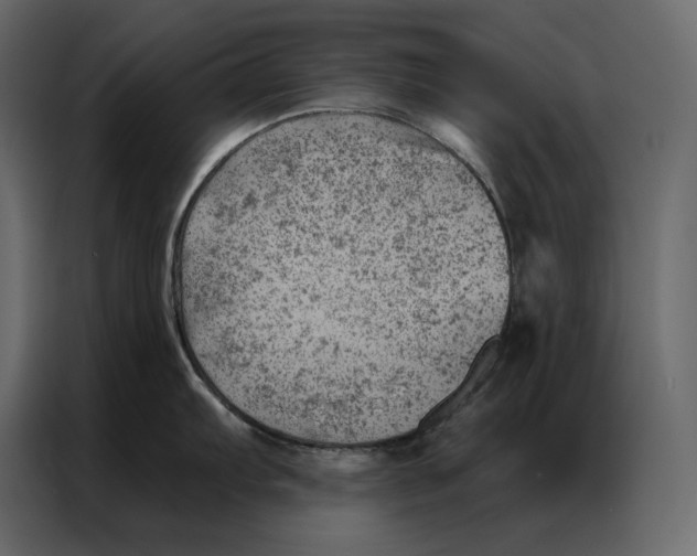 X0000086981103200705071412