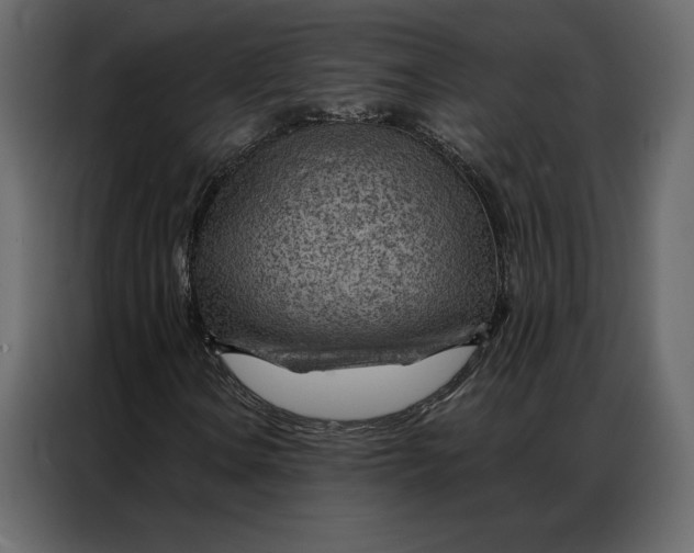 X0000086981106200705071411