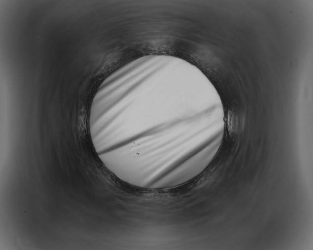 X0000086981107200705071411