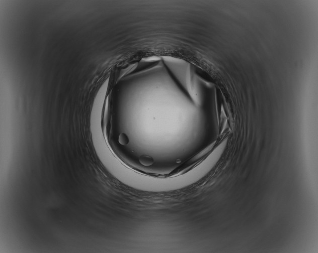 X0000086981108200705071411