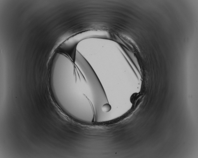 X0000086981114200705071411