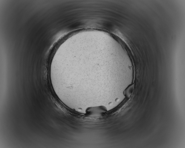 X0000086981115200705071411