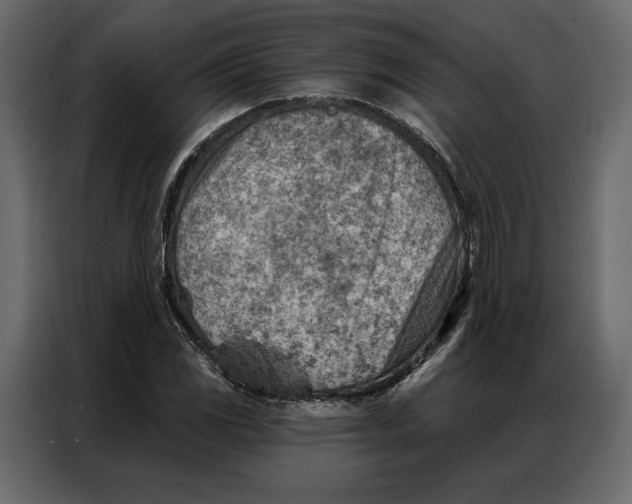 X0000086981117200705071411