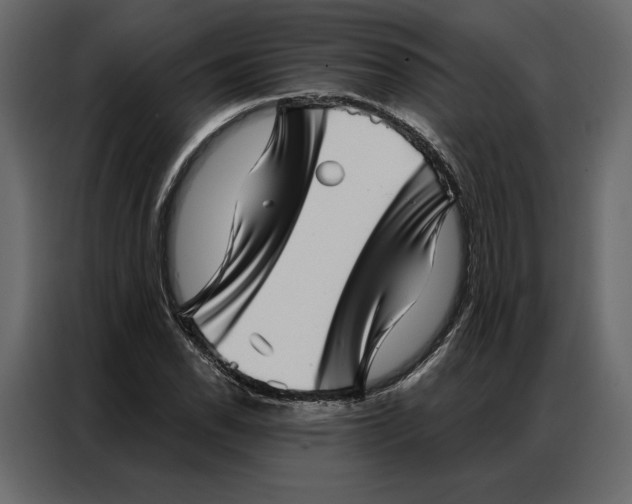 X0000086981118200705071411