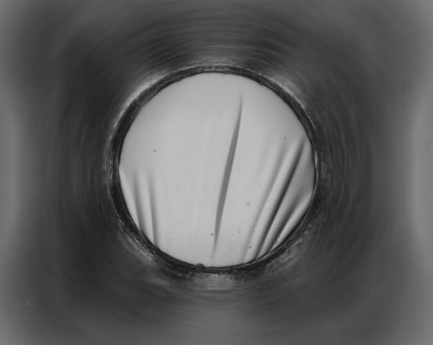 X0000086981119200705071411