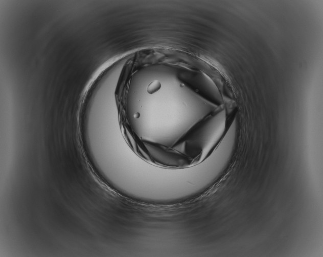 X0000086981120200705071411