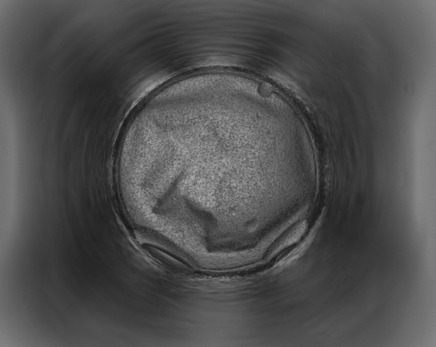 X0000086981121200705071411