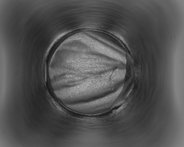 X0000086981123200705071411