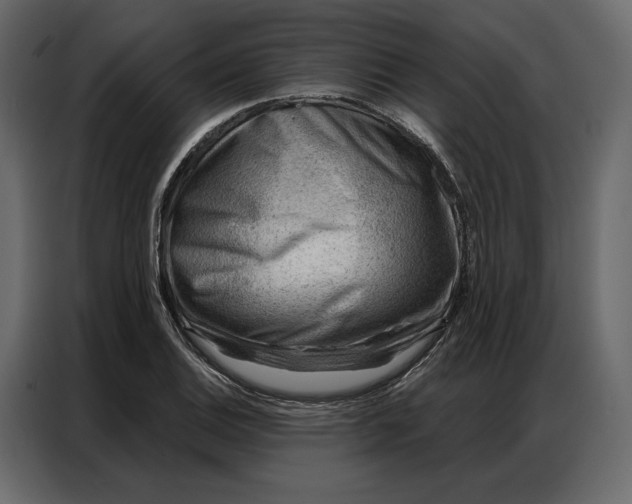 X0000086981124200705071411