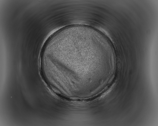 X0000086981125200705071411