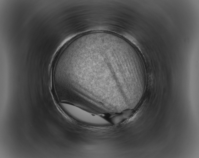 X0000086981127200705071411