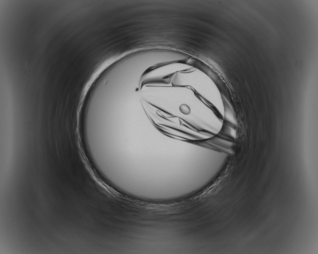 X0000086981128200705071411