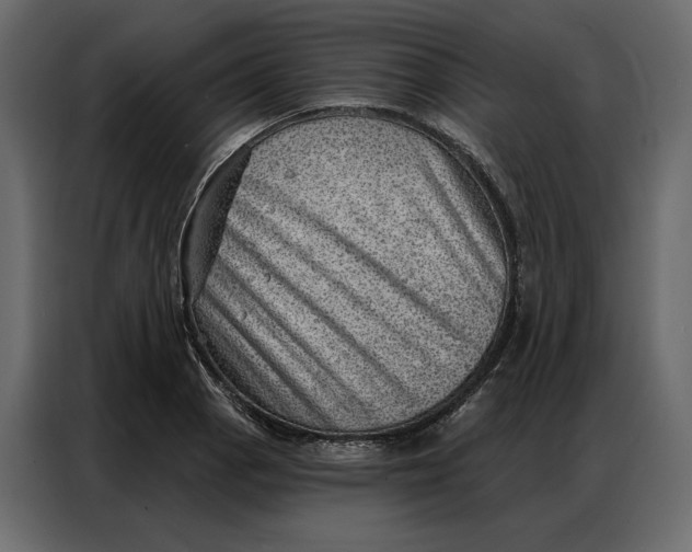 X0000086981129200705071411