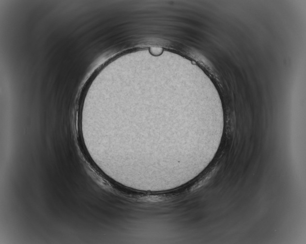 X0000086981130200705071411