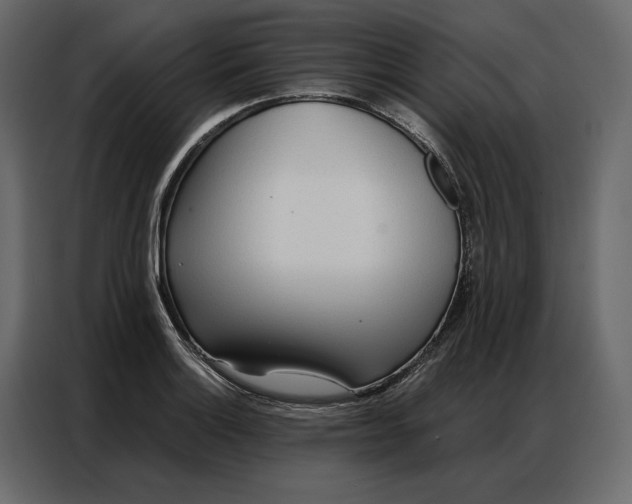 X0000086981132200705071411