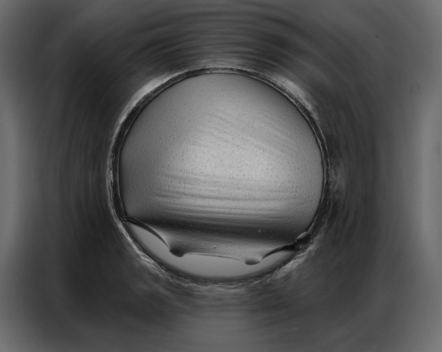 X0000086981133200705071411