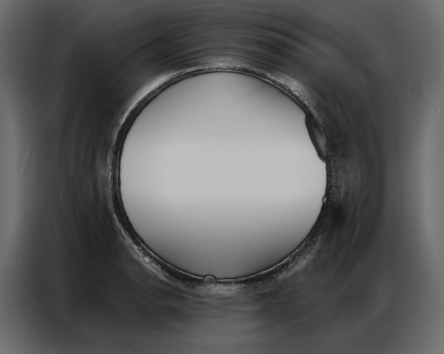 X0000086981134200705071411